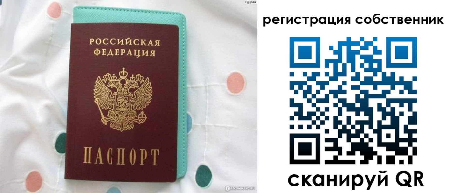 прописка для школы в Котельниче